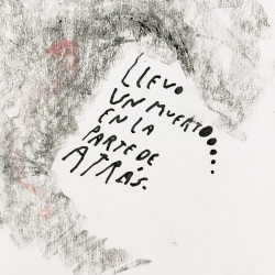 http://www.nunezdelar.co/files/gimgs/th-49_AGOSTO 26 - llevo un muerto.jpg